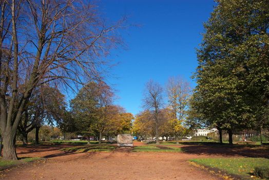 photo of the beautiful autumn park with yellow foliage