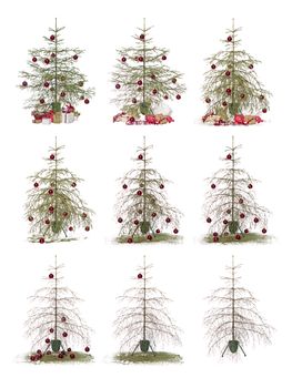 Time lapse - Christmas tree isolated on a white background