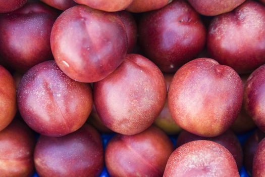 fresh nectarines on croatian market - small depth of field