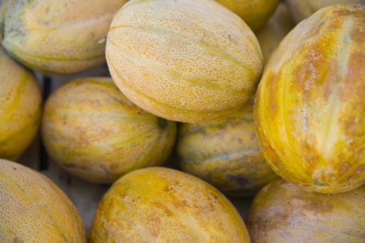 fresh melons on croatian market - small depth of field