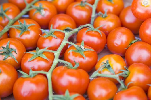 tomatos in vegetable market - small depth of field