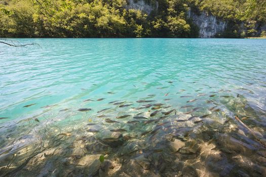 plitvicka jezera national park - the most beautiful part of Croatia