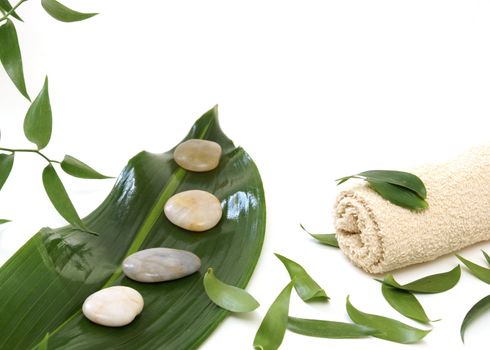 Fresh green leaves with stones and a face cloth isolated on white.