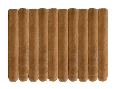 eight cuban cigars isolated on white background