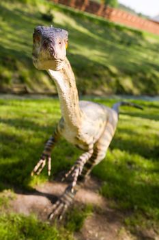 Jurassic park - set of dinosaurs - Coelophysis bauri