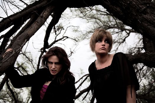Mysterious women together in a dark barren forest