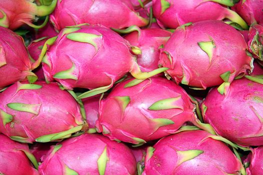 Dragon Fruit or Pitaya