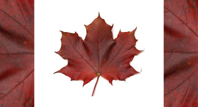The Canadian flag made with a real maple leaf.