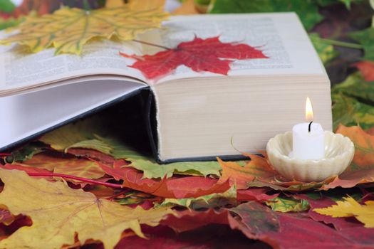 Burning candle and the book on autumn leaves removed close up