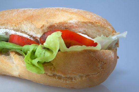 Isolated sandwich with mozzarella, tomato and salad over a gray/white background