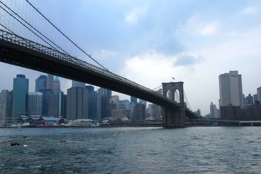  A few of the cables of the Brooklyn Bridge, New York