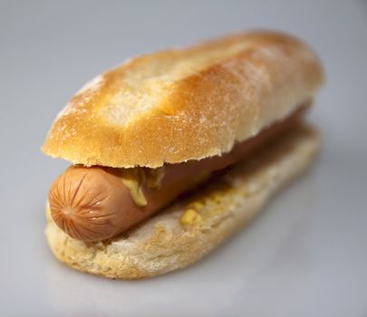 Isolated hot dog over a gray/white background