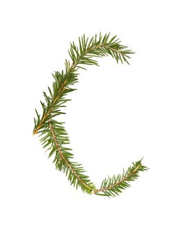 Spruce twigs forming the letter 'C' isolated on white