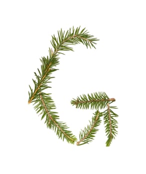 Spruce twigs forming the letter 'G' isolated on white