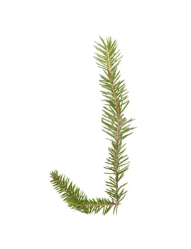 Spruce twigs forming the letter 'J' isolated on white