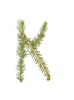 Spruce twigs forming the letter 'K' isolated on white