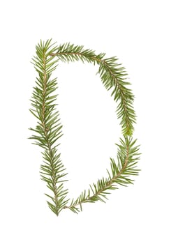 Spruce twigs forming the letter 'D' isolated on white