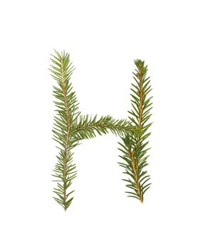 Spruce twigs forming the letter 'H' isolated on white