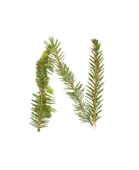 Spruce twigs forming the letter 'N' isolated on white