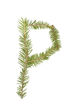 Spruce twigs forming the letter 'P' isolated on white