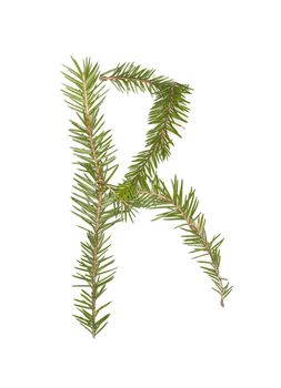 Spruce twigs forming the letter 'R' isolated on white