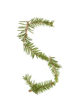 Spruce twigs forming the letter 'S' isolated on white