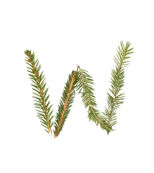 Spruce twigs forming the letter 'W' isolated on white