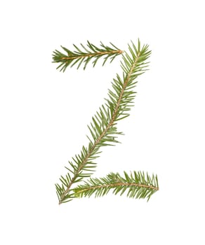 Spruce twigs forming the letter 'Z' isolated on white