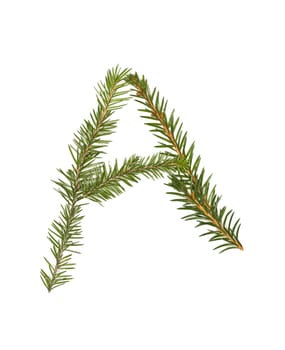 Spruce twigs forming the letter 'A' isolated on white