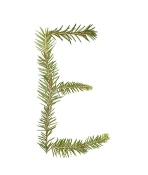 Spruce twigs forming the letter 'E' isolated on white