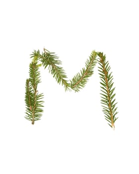 Spruce twigs forming the letter 'M' isolated on white