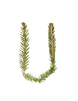 Spruce twigs forming the letter 'U' isolated on white