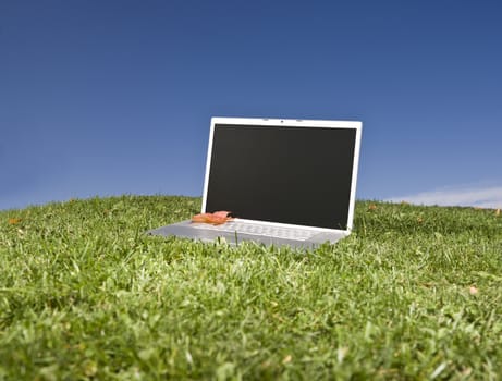 Laptop outdoors on a green field with a blue sky background