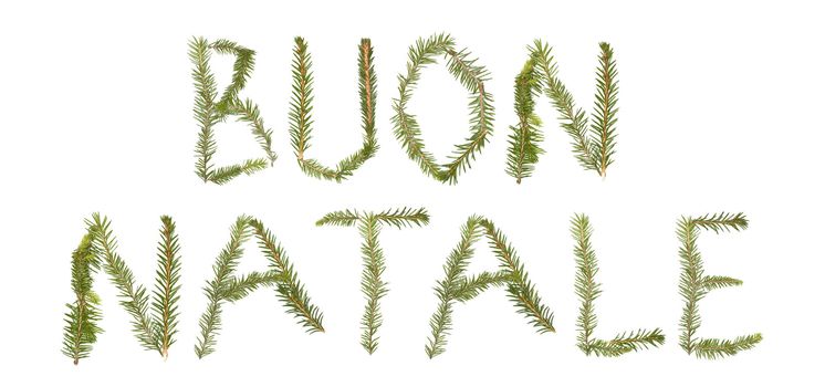 Spruce twigs forming the phrase 'BUON NATALE' isolated on white