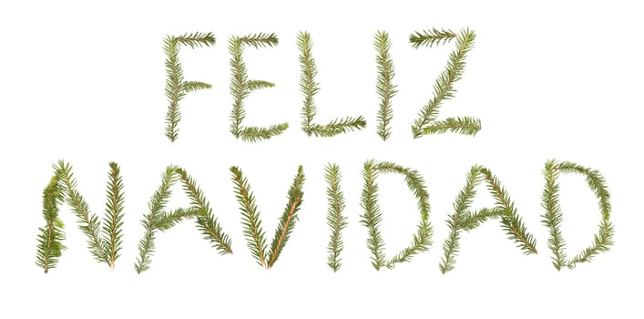 Spruce twigs forming the phrase 'Feliz Navidad' isolated on white