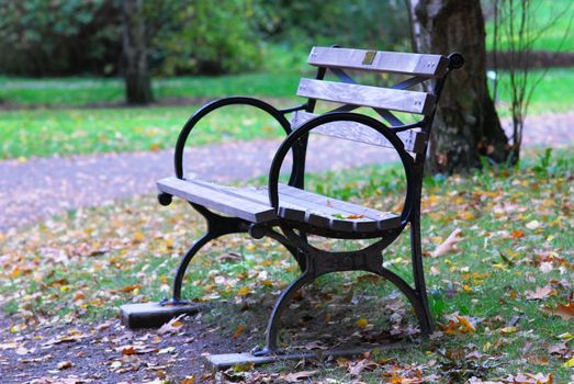 park bench on a nice fall day 