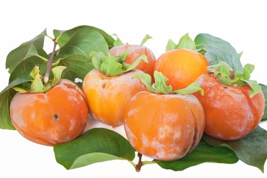 group ripe persimmons isolated on white background