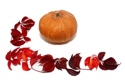 Pumpkin with red leaves isolated on white background