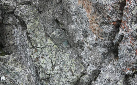 natural stone texture covered with lichen