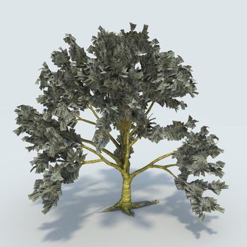  tree and instead leaves 100 - dollar bills