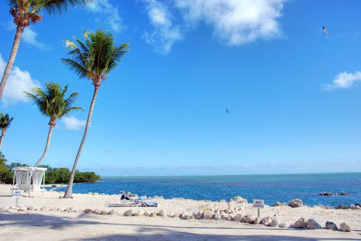 Detail of the wonderful Florida Coast in Islamorada