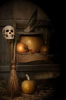 Big pumpkin with black witch hat on bench for Halloween