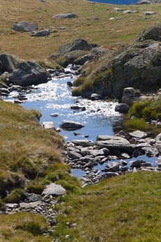 Small mountain brook in Pyrenees mountain, sunlight in water