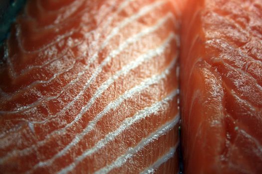 macro detail of fresh salmon fish fillet