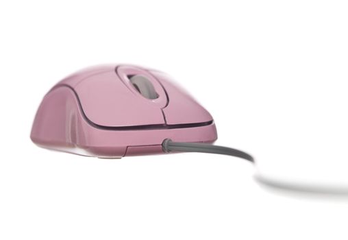 Pink Computer Mouse isolated on white background