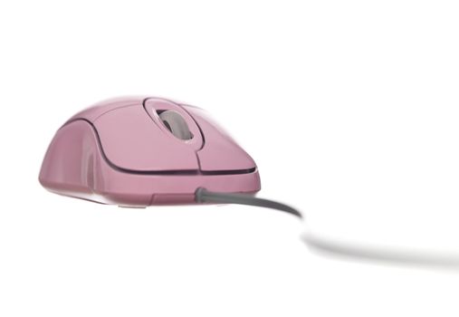 Pink Computer Mouse isolated on white background