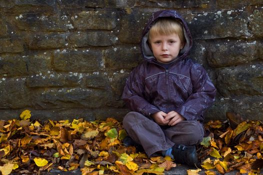 a lonely looking young child sat against a wall with autumn leafs all around him.