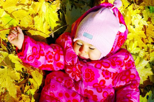  Small baby in autumn forest with yellow maple leaves

