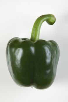 Pepper isolated on a white background 