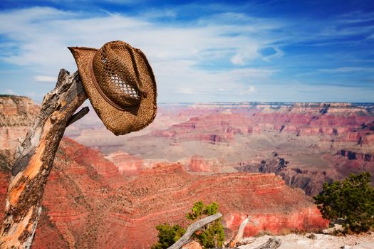 Cowboy hat hung on dead branch near the Grand Canyon